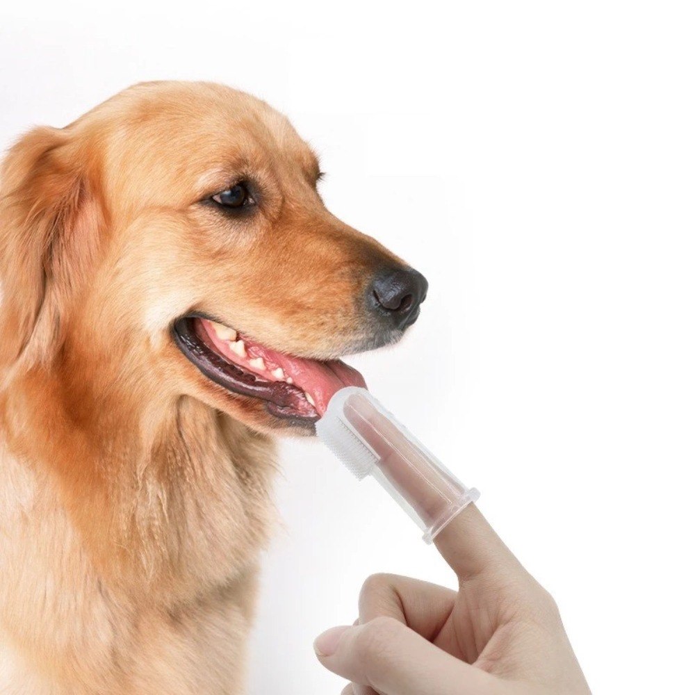 Escova de Dentes Super Macia para Pets, Escova de Dedo para Cães Teddy, Ferramenta de Cuidado para Dentes com Mau Hálito e Tártaro, Limpeza para Cães e Gatos, Suprimentos para Pets em Silicone
