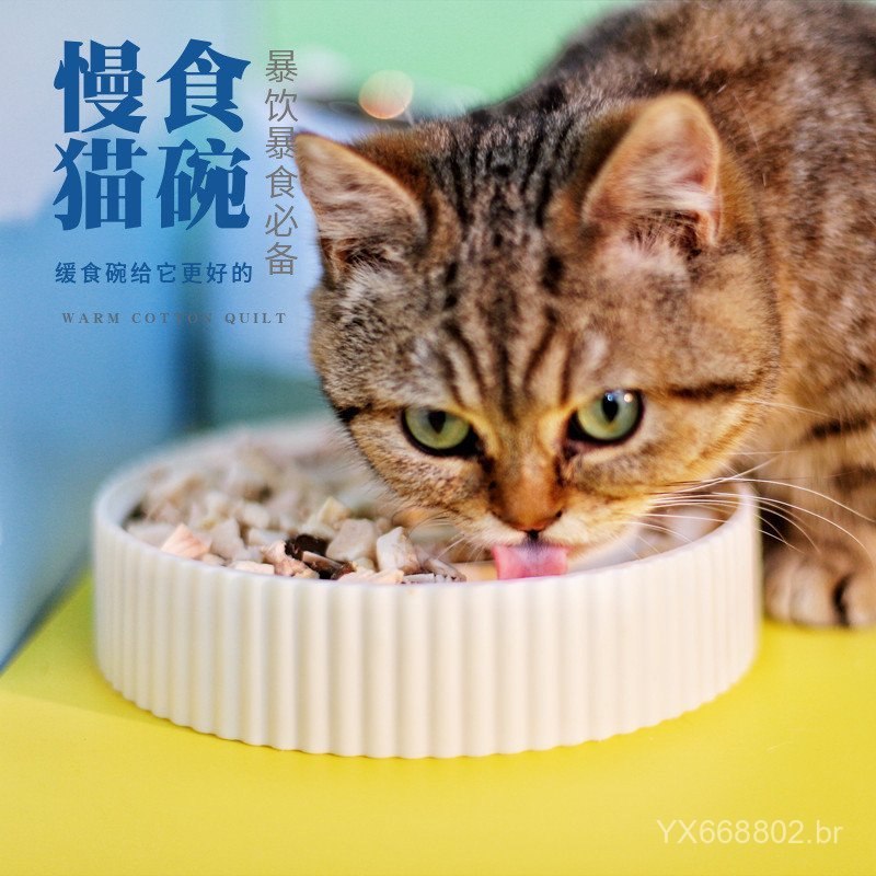 Tigela para cães anti-engasgo e de alimentação lenta, para cães de porte pequeno e médio, comedouro para cães e gatos, t
