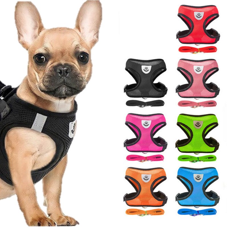 Coleira Peitoral Cães E Gatos Ajustável Com Guia Colete Pet - Diversas Cores  e Tamanhos! Oferta!